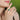 Jewelhalo Emerald Cut Halo Engagement Rings